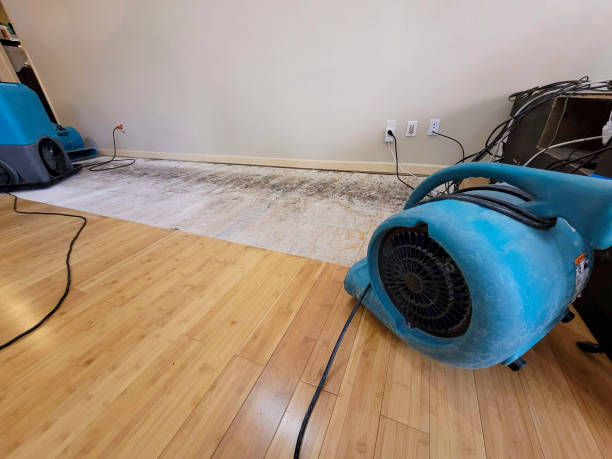 Professional Emergency Water Damage technician working in Dresher, PA